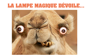 LA LAMPE MAGIQUE - Page 42 PyuXsqBT_o