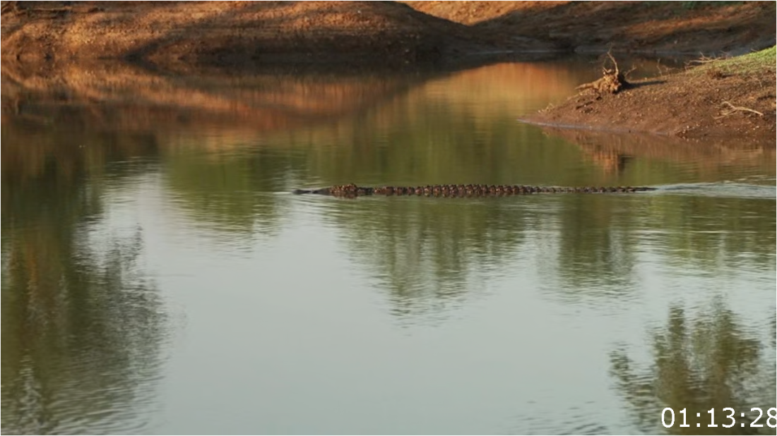 Naked And Afraid S17E02 [720p] (x265) 5Xi3oNVK_o