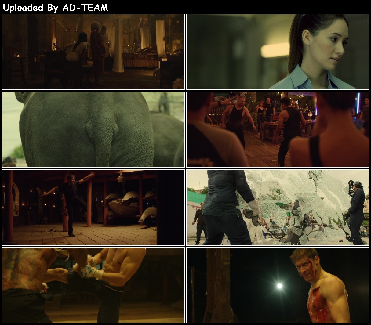 Kickboxer Vengeance 2016 1080p BluRay H264 AAC-RARBG IBIzpJVF_o