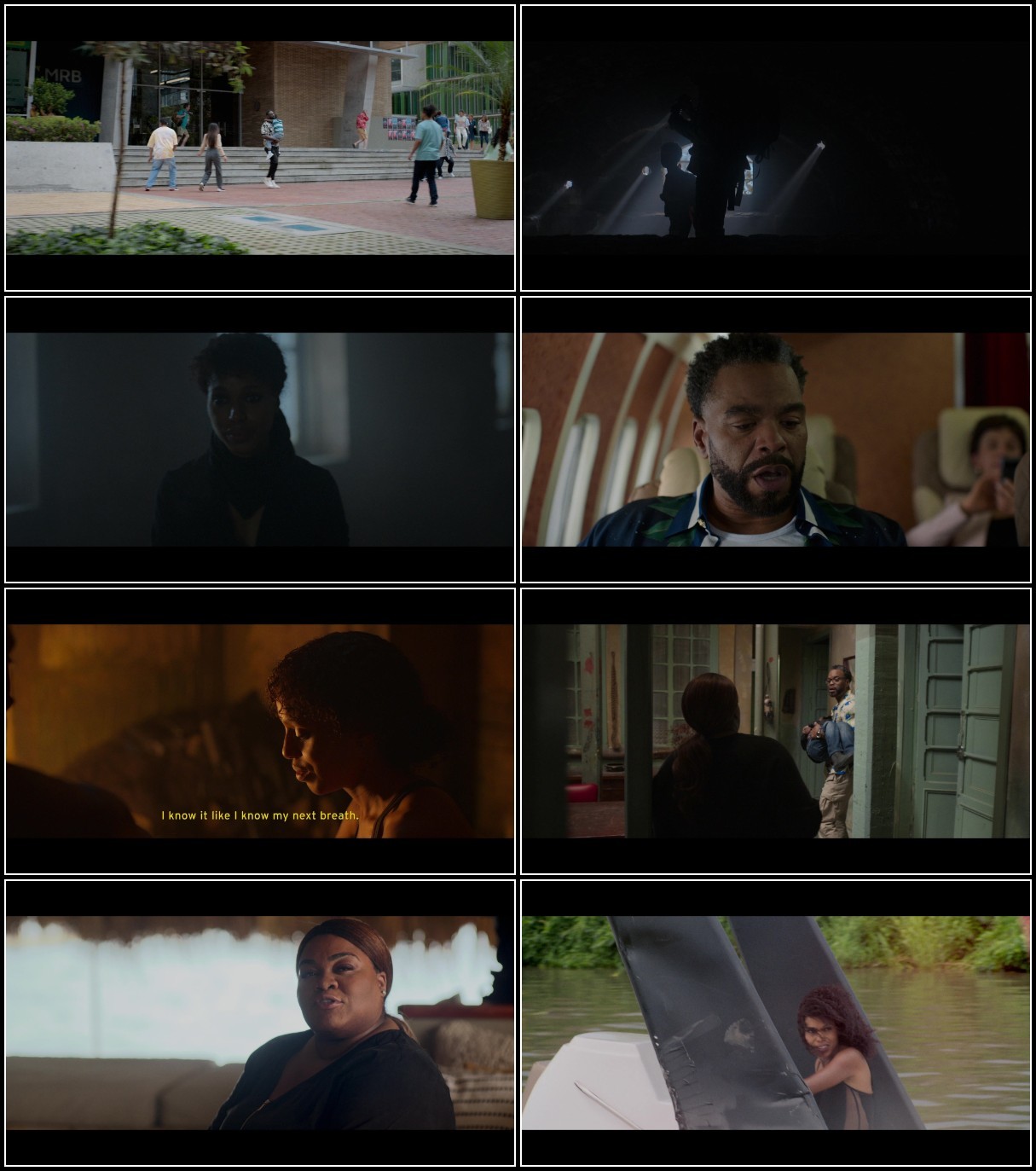 syKjrCG1 o - Shadow Force (2025) 1080p BluRay h264-D3US