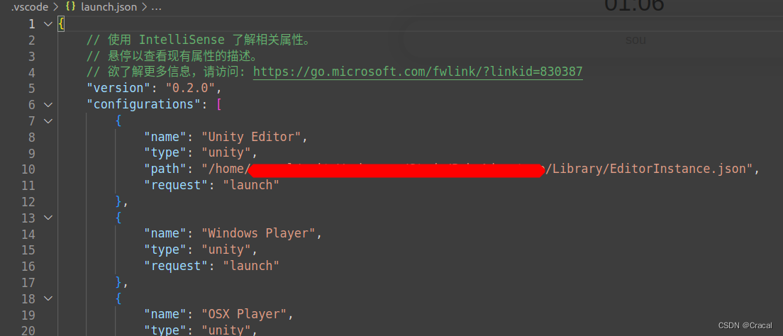 launch.json