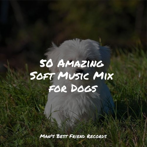 Calming Music for Dogs - 50 Amazing Soft Music Mix for Dogs - 2022