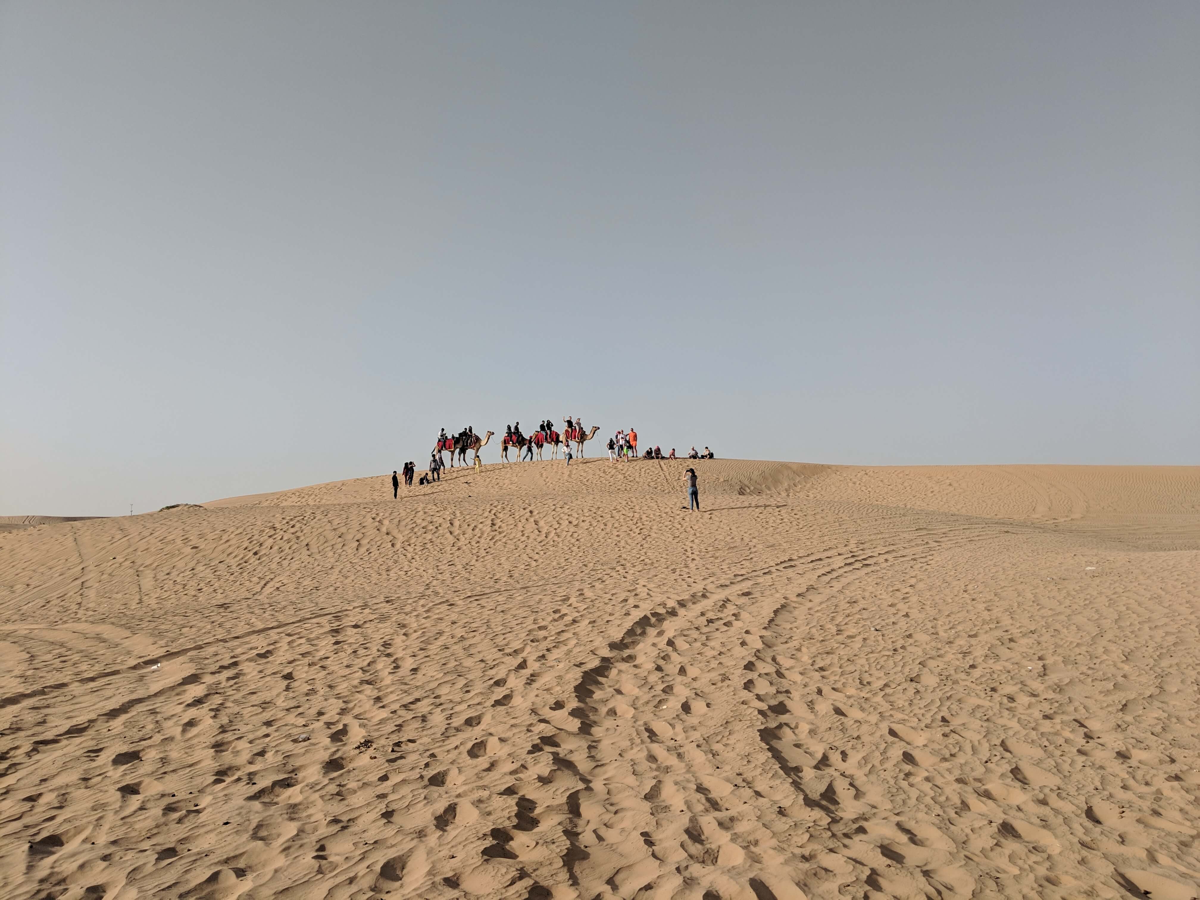 Camel Ride in Dubai, UAE