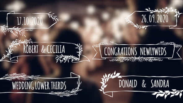 Wedding Lower Thirds - VideoHive 49483382