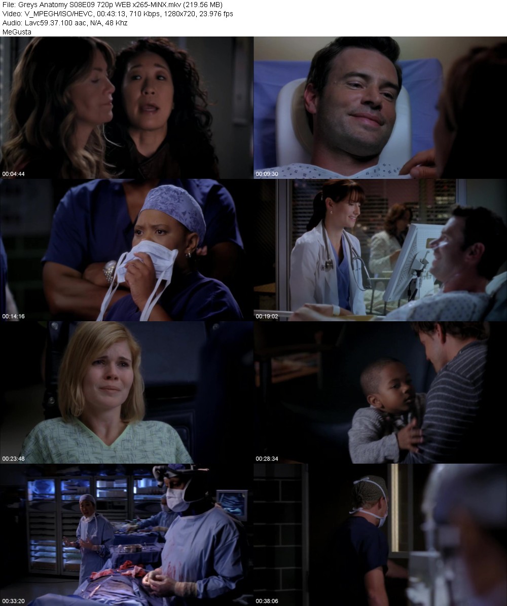 Greys Anatomy S08E09 720p WEB x265-MiNX