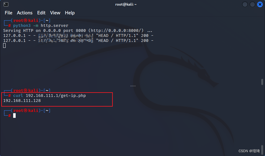 kali-get-ip