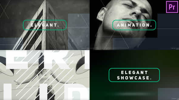 Elegant Showcase Premiere - VideoHive 40210015