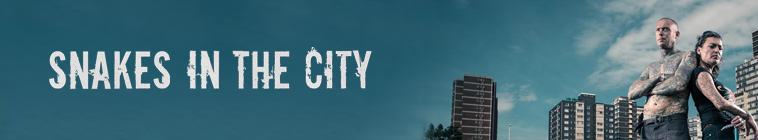 Snake City S06E06 Housing Estate Horror 720p WEBRip x264 CAFFEiNE