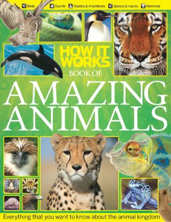 Amazing Animals OCR 2012   How It Works