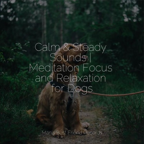 Pet Care Music Therapy - Calm & Steady Sounds  Meditation Focus and Relaxation for Dogs - 2022