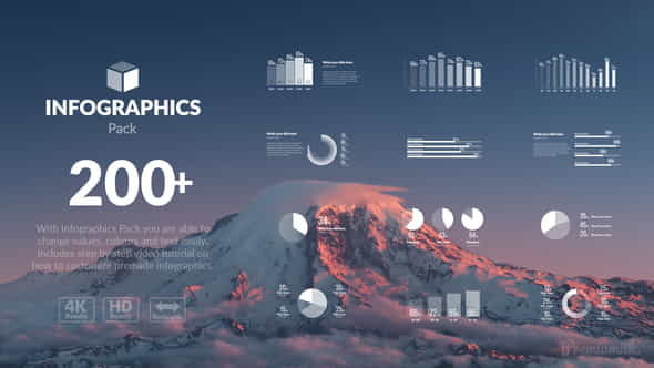 Infographics Pack - VideoHive 21573990