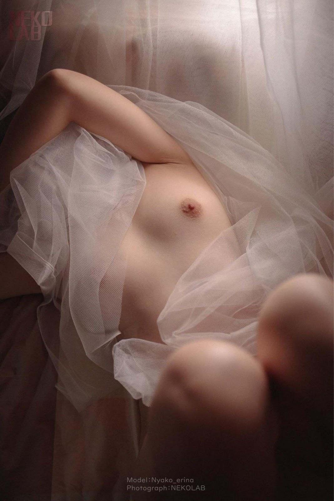 [NEKOLAB] ft. 有喵酱 @Nyako_erina 《 Sweet Dream 》(5)