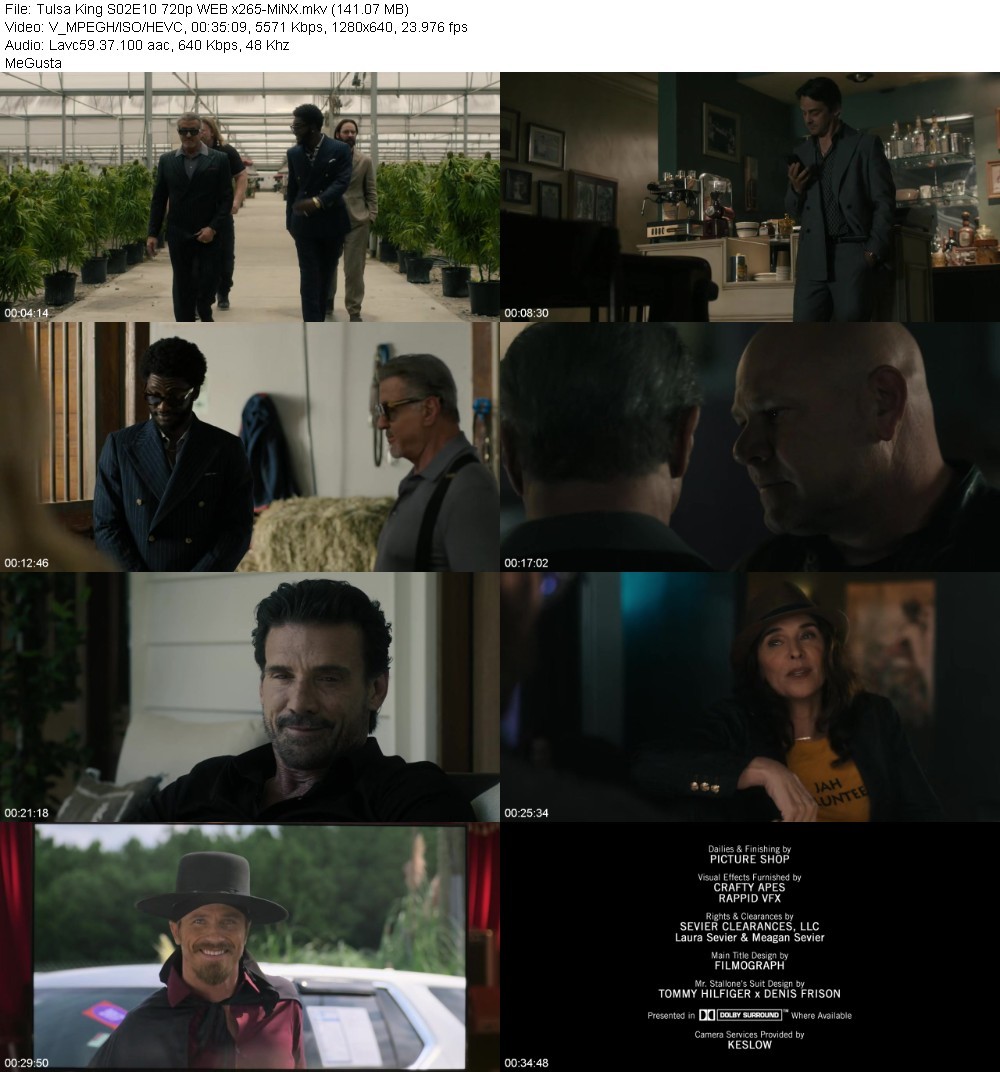 Tulsa King S02E10 720p WEB x265-MiNX