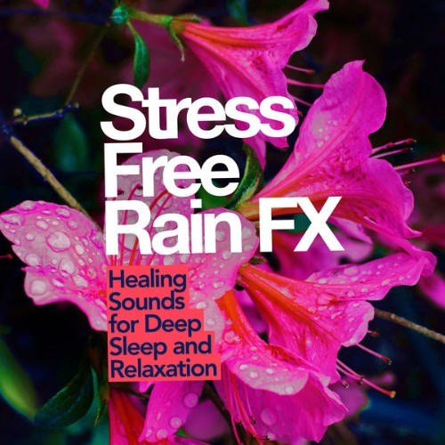 Heavy Rain Sounds - Stress Free Rain FX - 2019