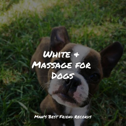 Pet Care Club - White & Massage for Dogs - 2022