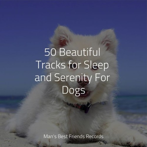 Jazz Music Therapy for Dogs - 50 Beautiful Tracks for Sleep and Serenity For Dogs - 2022