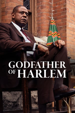 Godfather of Harlem S01E07 1080p WEB H264-METCON