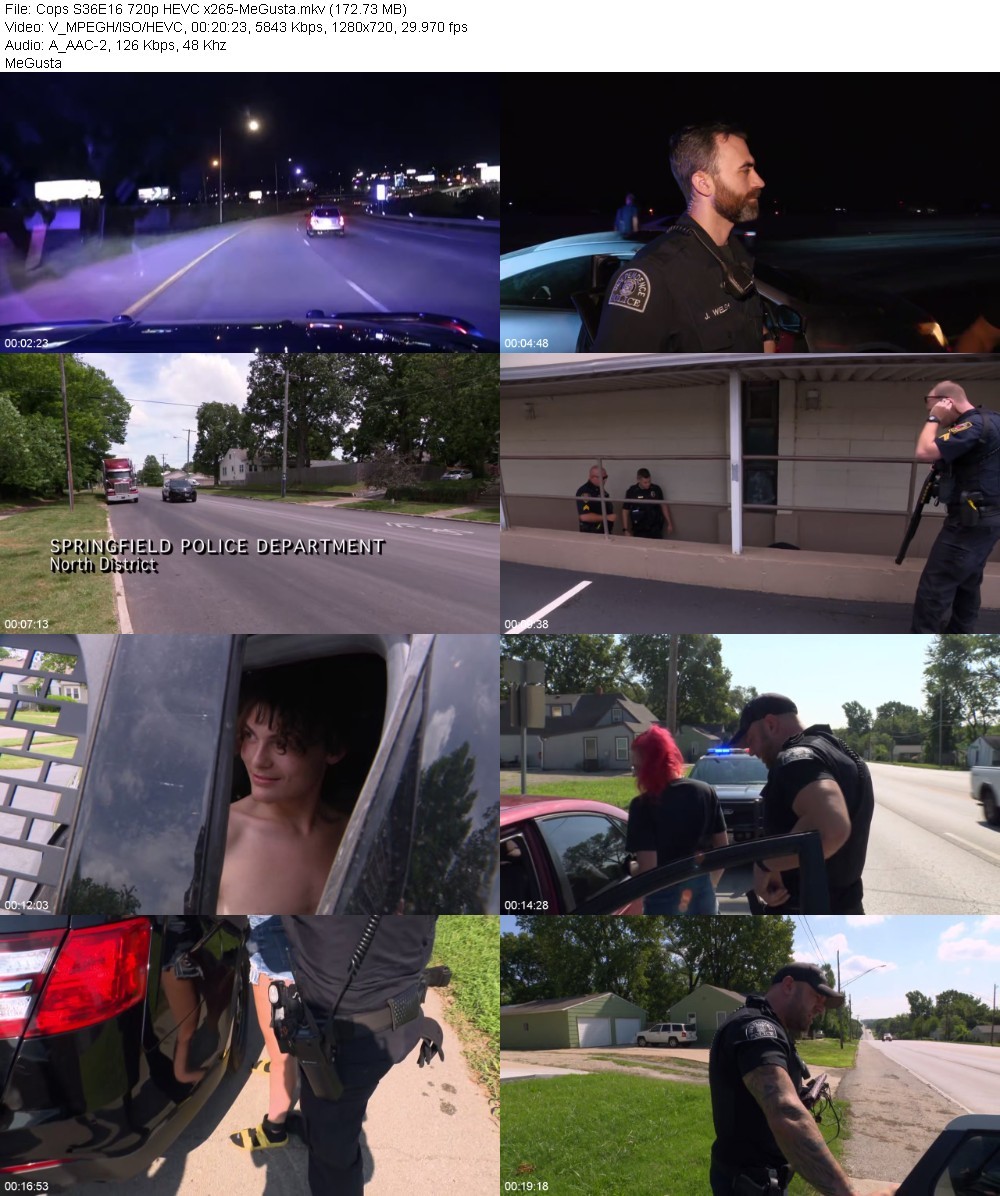 Cops S36E16 720p HEVC x265-MeGusta