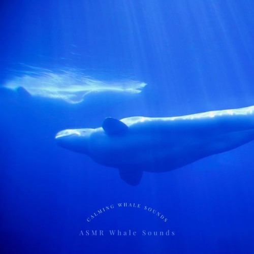 ASMR Whale Sounds - Calming Whale Sounds - 2022