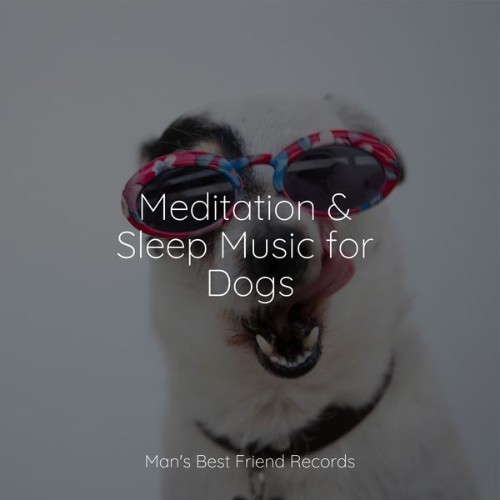 Music For Dogs Peace - Meditation & Sleep Music for Dogs - 2022