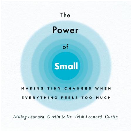 The Power of Small - Making Tiny Changes When Everything Feels Too Much