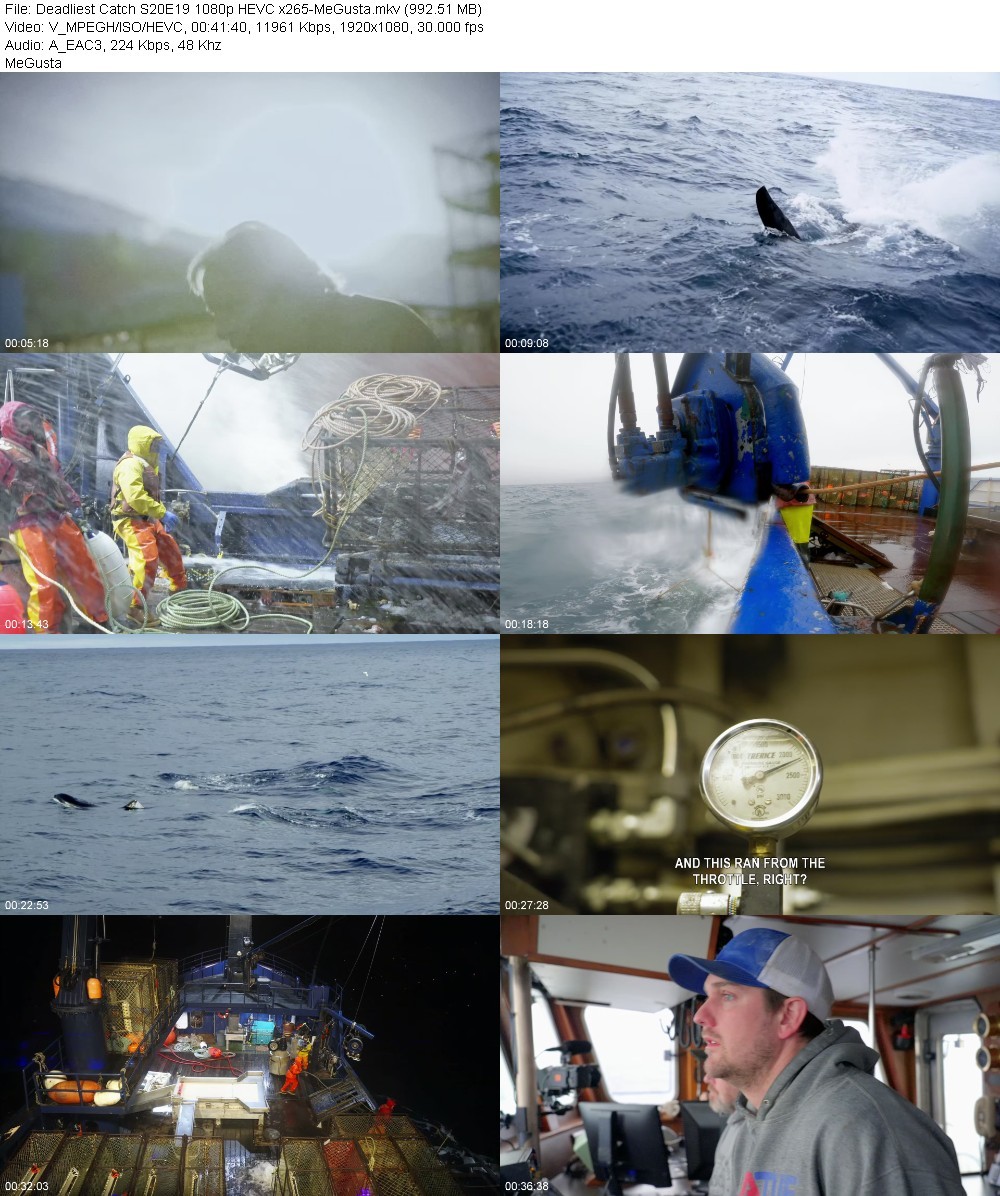 Deadliest Catch S20E19 1080p HEVC x265-MeGusta