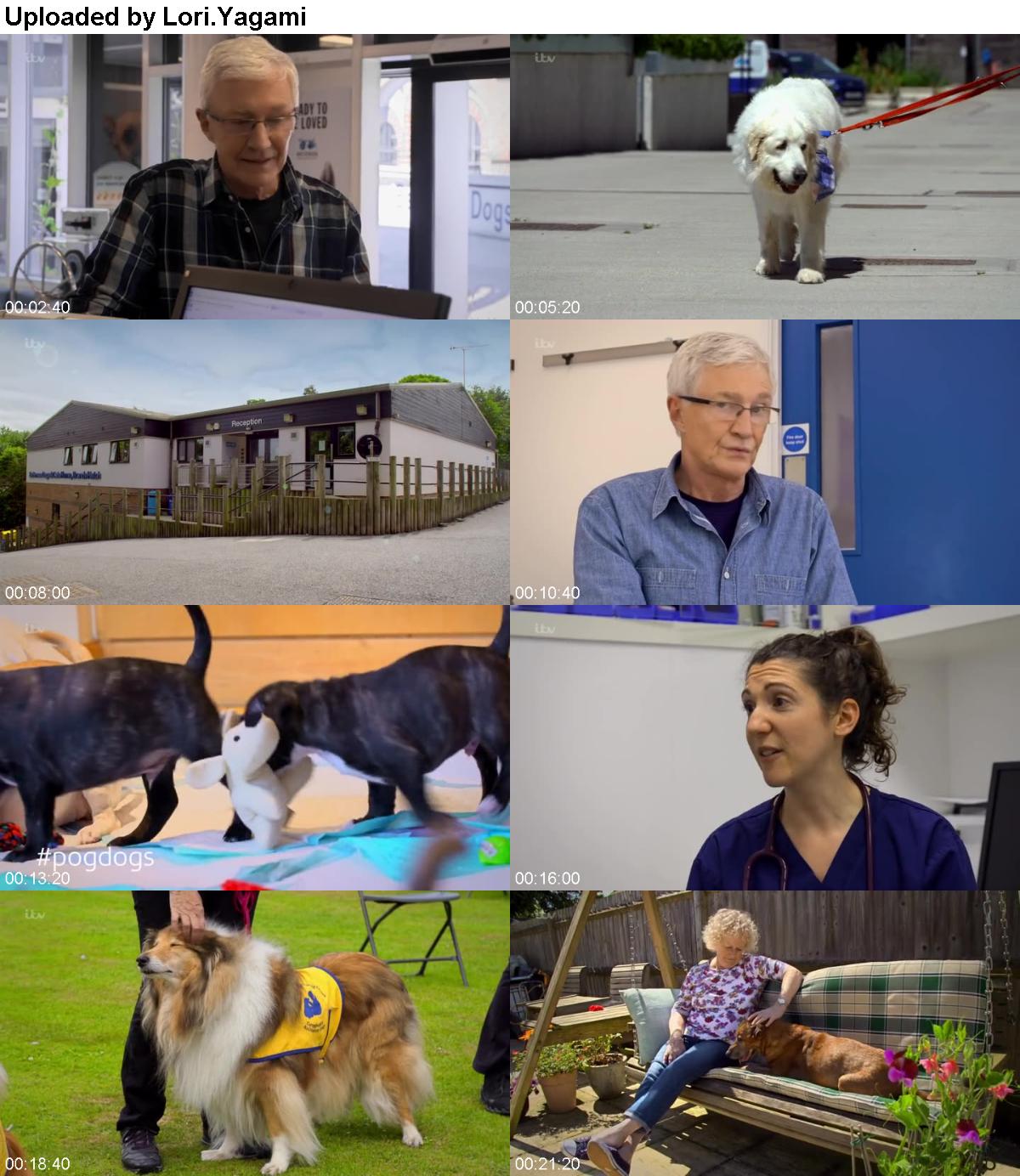 Paul O Grady for The Love of Dogs S08E01 HDTV x264-LINKLE