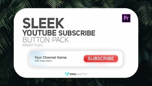 Sleek Youtube Subscribe Button Pack - VideoHive 27973336