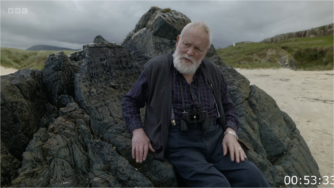 BBC Michael Longley Where Poems Come From [1080p] (x265) YJy488IQ_o
