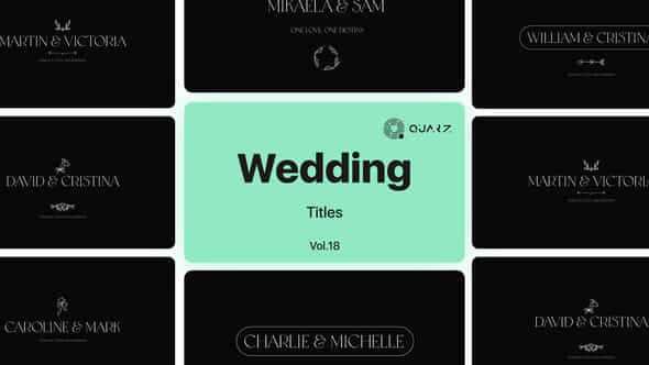 Wedding Titles Vol 18 - VideoHive 48929002