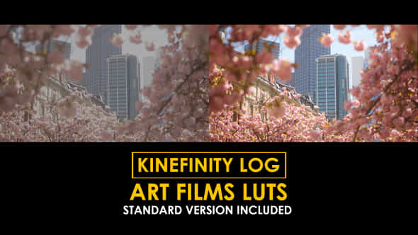 Kinefinity Log Art Films And Standard Luts - VideoHive 50848658