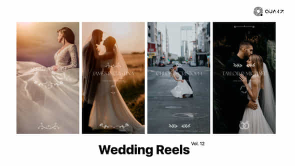 Wedding Reels Vol 12 - VideoHive 49308037