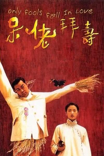 Only Fools Fall in Love 1995 CHINESE 1080p BluRay x265-VXT