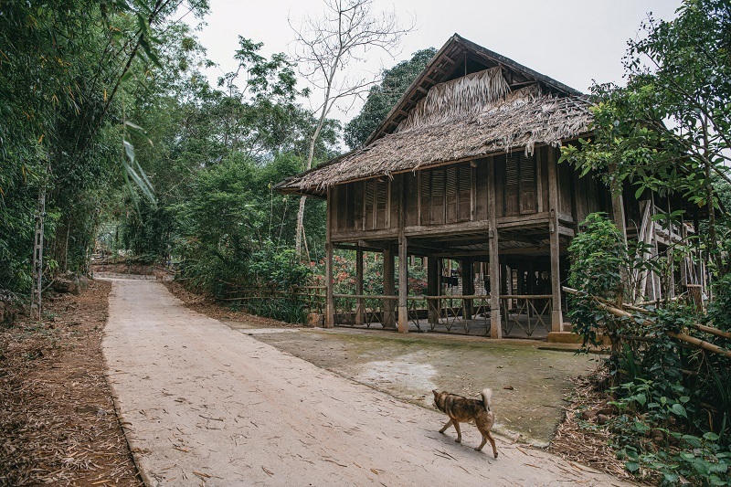 hoa binh, mai chau, mai hich