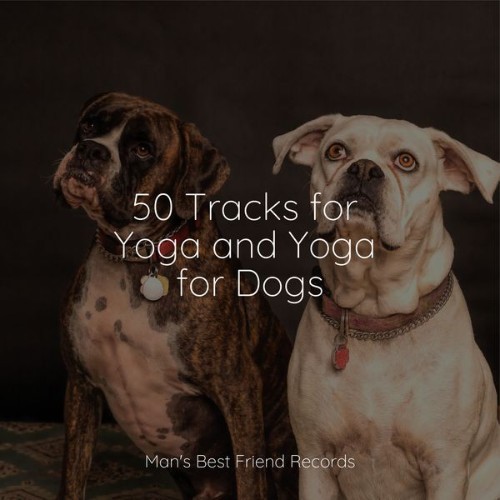 Jazz Music for Dogs - 50 Tracks for Yoga and Yoga for Dogs - 2022