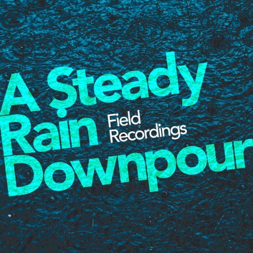 Field Recordings - A Steady Rain Downpour - 2019