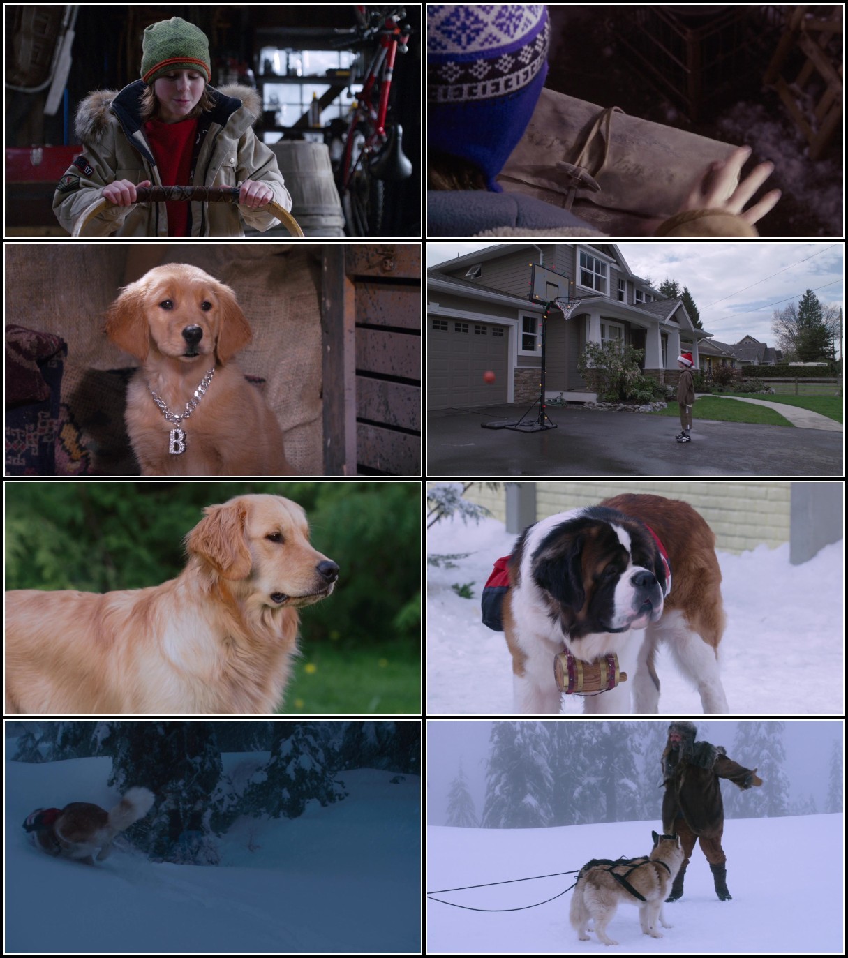 Snow Buddies (2008) 1080p BluRay H264 AAC-RARBG 586L91BA_o