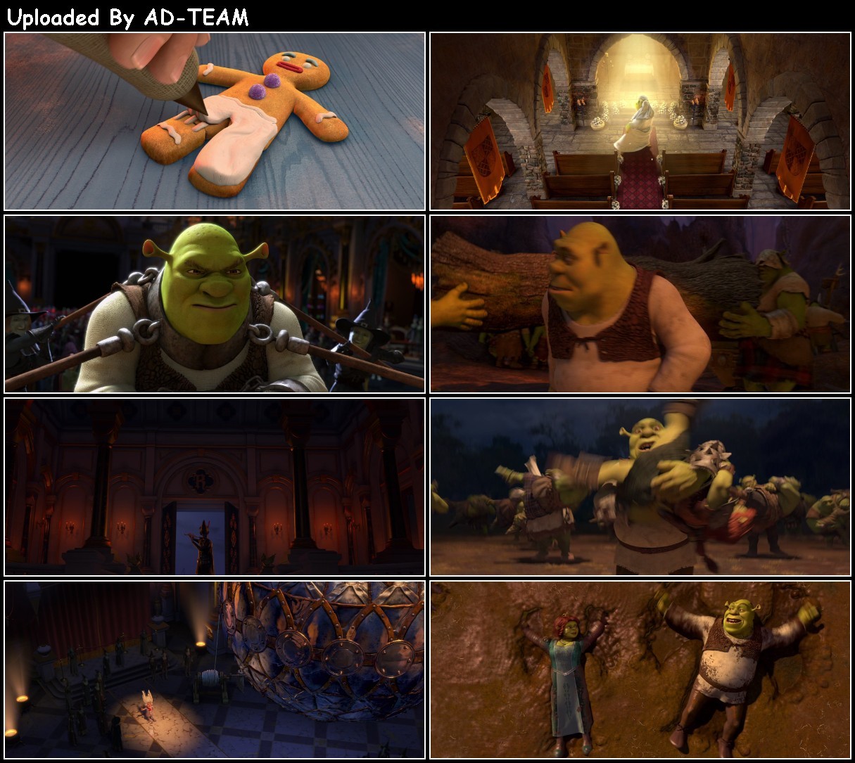 Shrek Forever After 2010 1080p BluRay x265-RARBG NucvTFYF_o