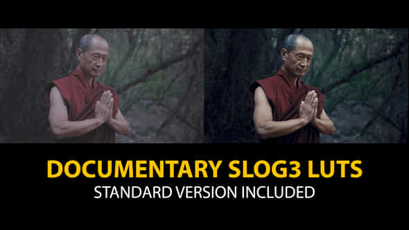 Slog3 Documentary And Standard Color Luts - VideoHive 48800827