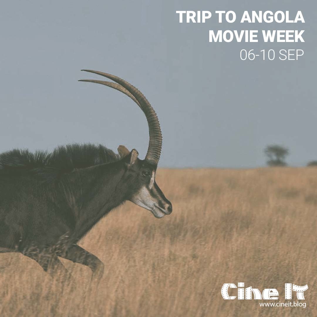 Trip to Angola movie Week