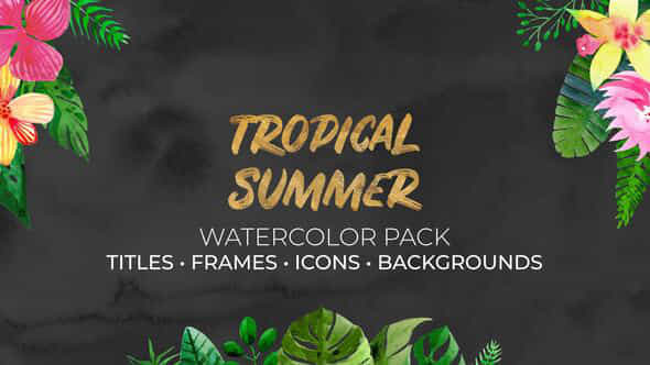 Tropical Summer Watercolor - VideoHive 36096175