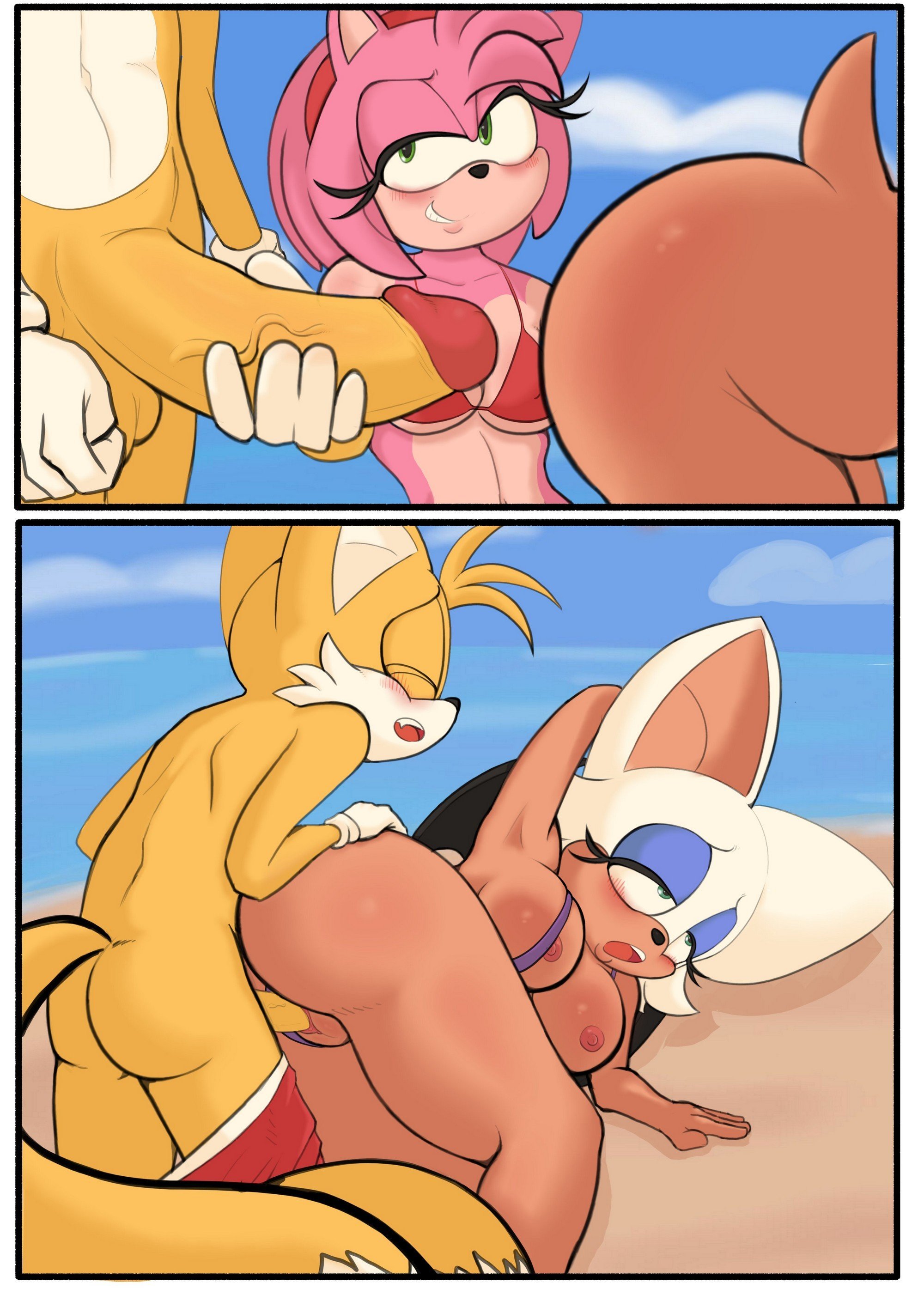Tails at the Beach – Pinkfalcon - 3