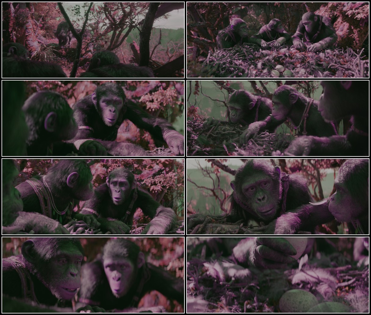 Kingdom Of The Planet Of The Apes (2024) DV 2160p WEB h265-ETHEL WHvD2wNy_o