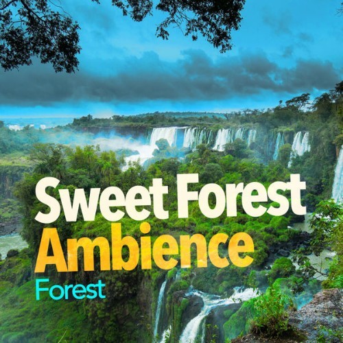 Forest - Sweet Forest Ambience - 2019