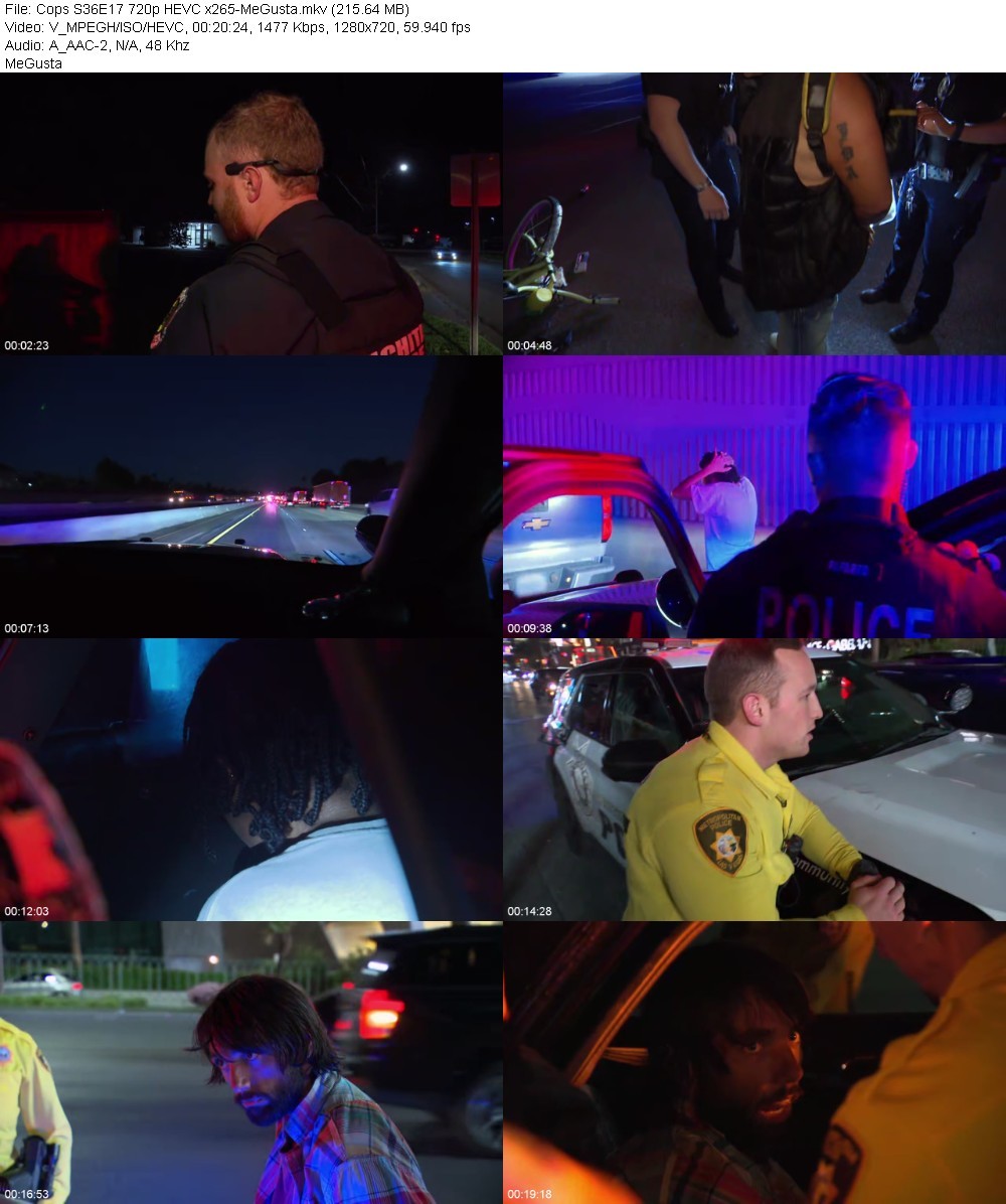 Cops S36E17 720p HEVC x265-MeGusta