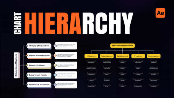 Hierarchy Chart - VideoHive 53973875