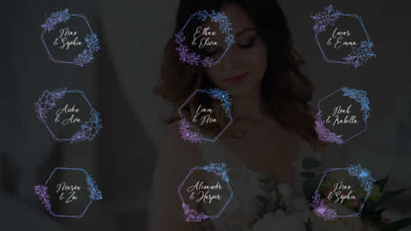 Wedding Titles Hexagon Frames - VideoHive 51049687