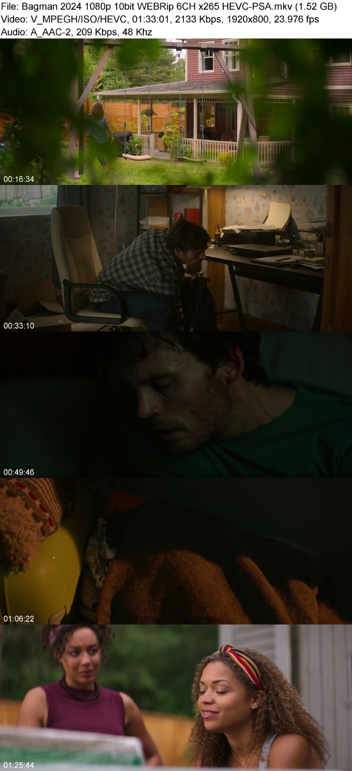 Bagman (2024) 1080p 10bit WEBRip 6CH x265 HEVC-PSA NUAiOjYg_o