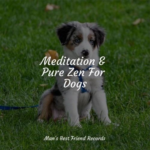 Jazz Music for Dogs - Meditation & Pure Zen For Dogs - 2022