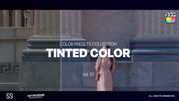 Tinted LUT Collection - VideoHive 46804157